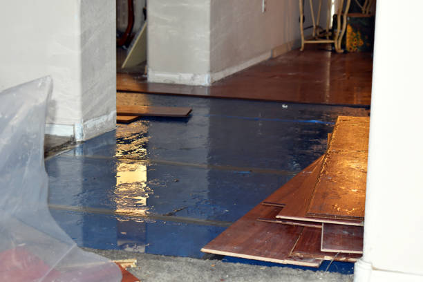 Professional Basement Flood Cleanup technician working in East Hampton, NY